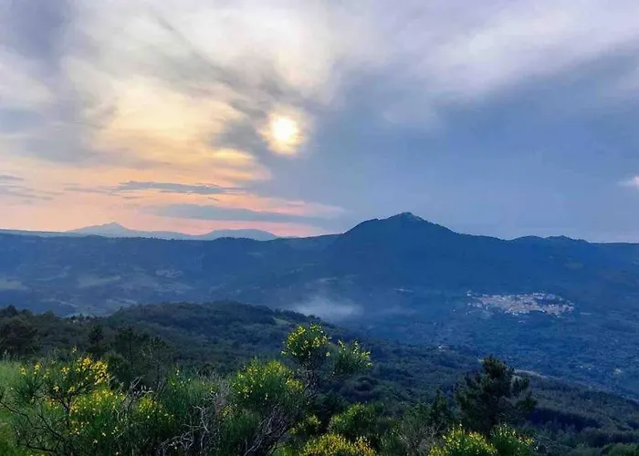 公寓 Casa Via Mare