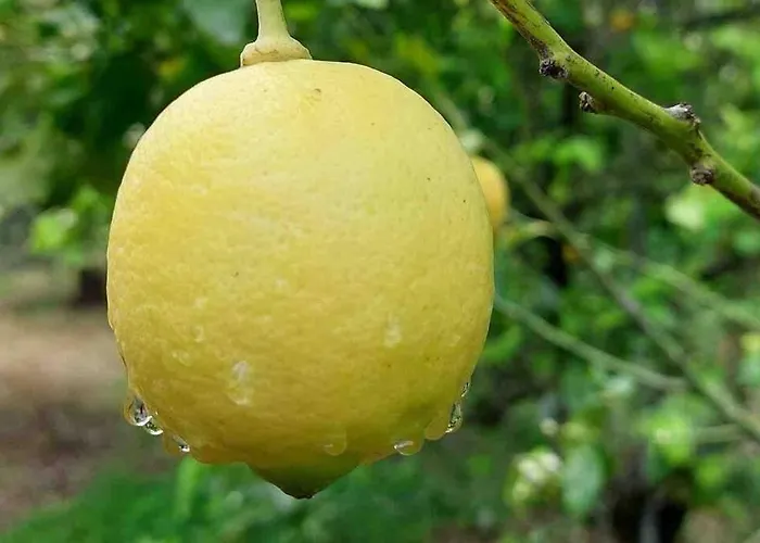 Casa Via Mare 罗卡伊恩佩里亚莱